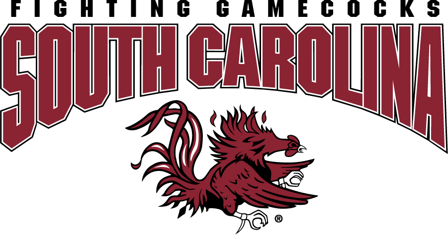 South Carolina Gamecocks 2008-2018 Alternate Logo diy DTF decal sticker